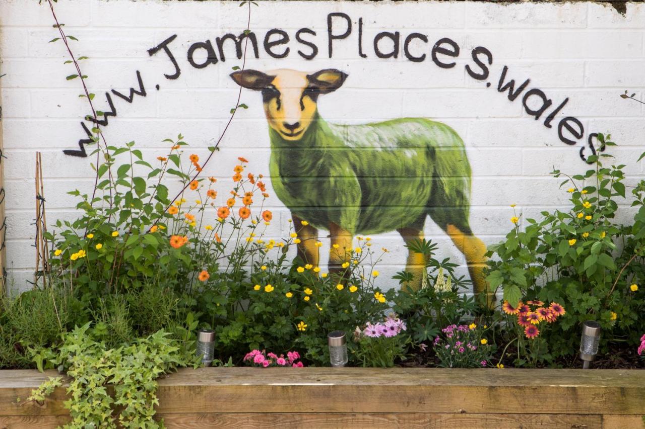 James' Place @ Pontmorlais ميرثير تيدفيل المظهر الخارجي الصورة